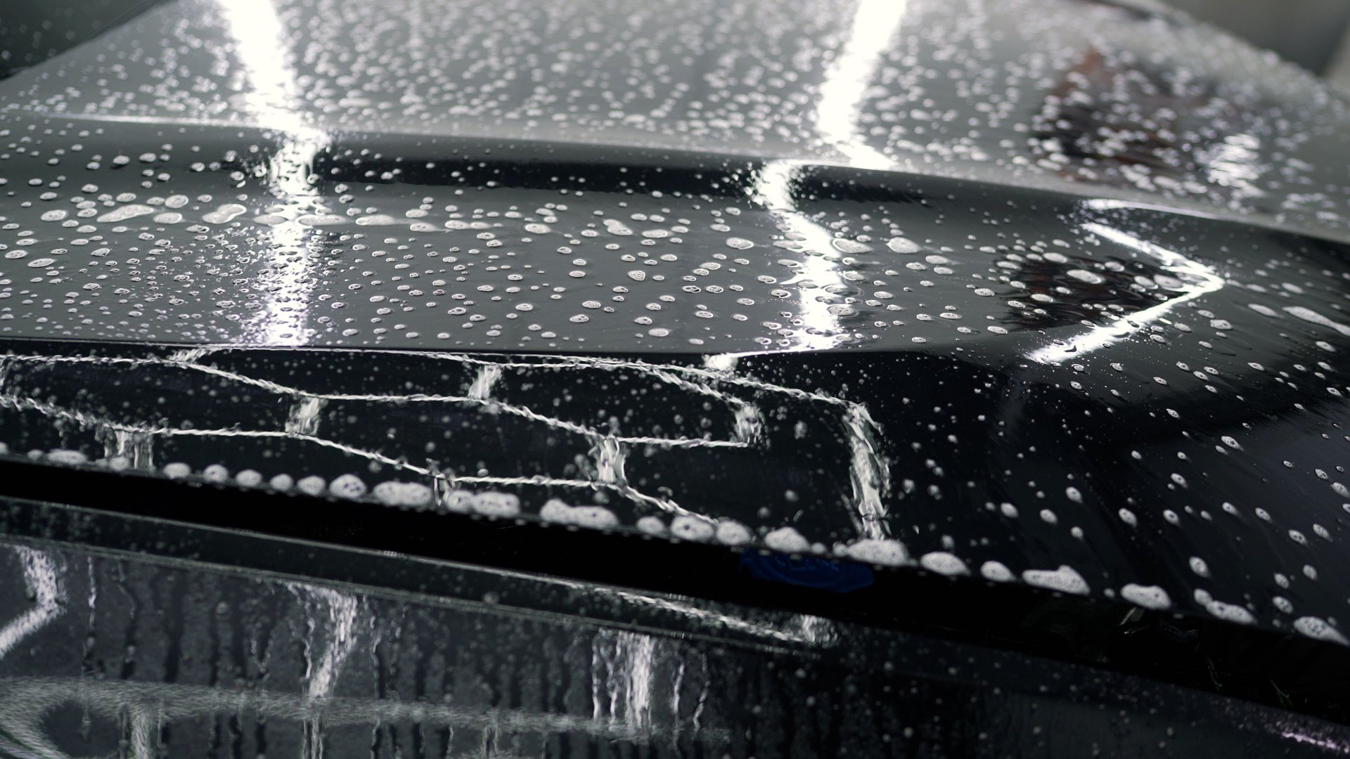 Black Lamborghini being detailed