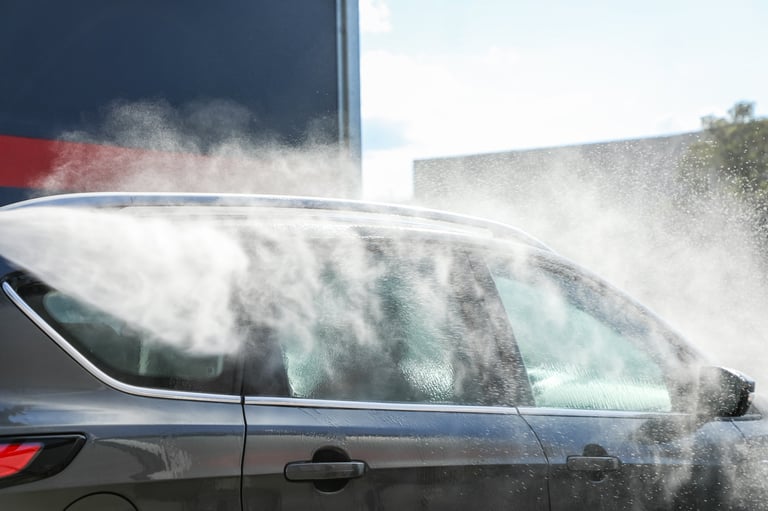 Mobile car detailing service